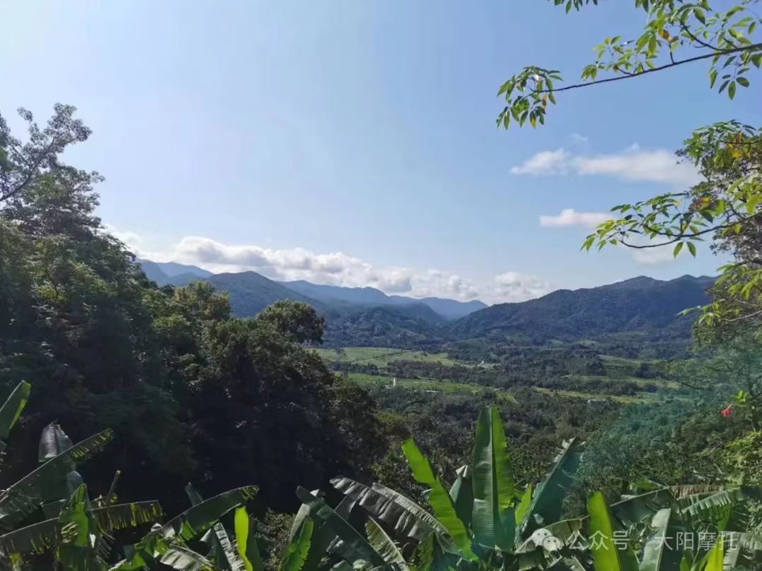 1731463474261075325.jpg 3.jpg