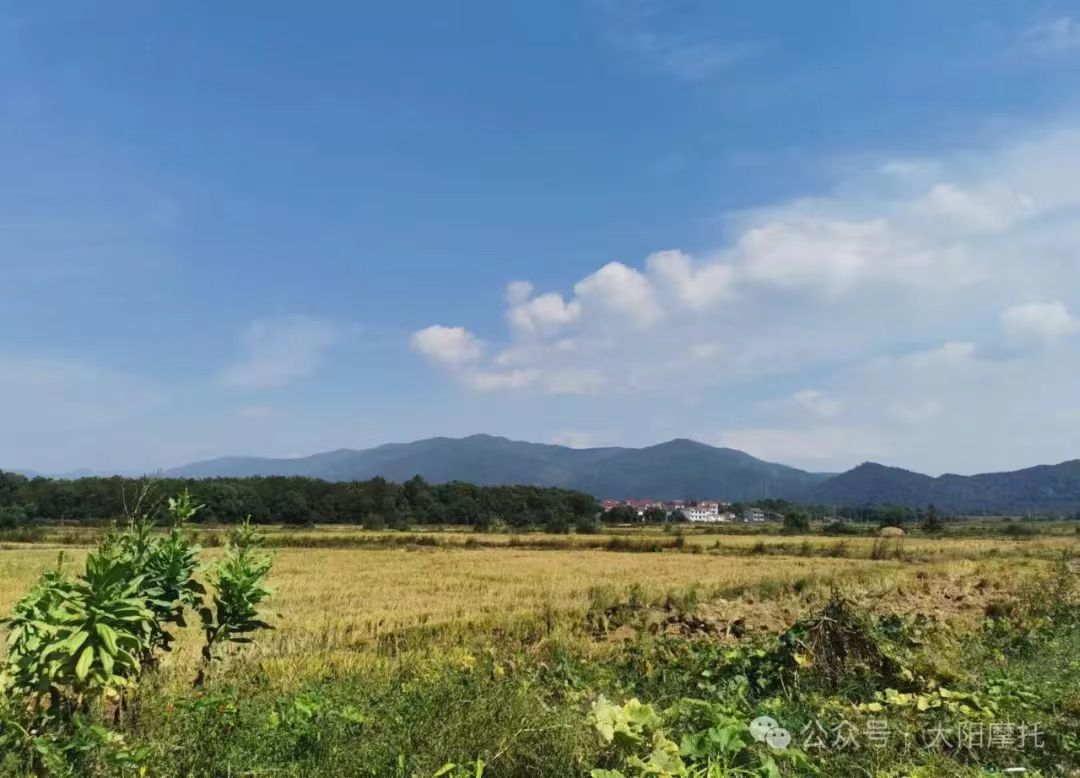 1731463618511037570.jpg 9.jpg