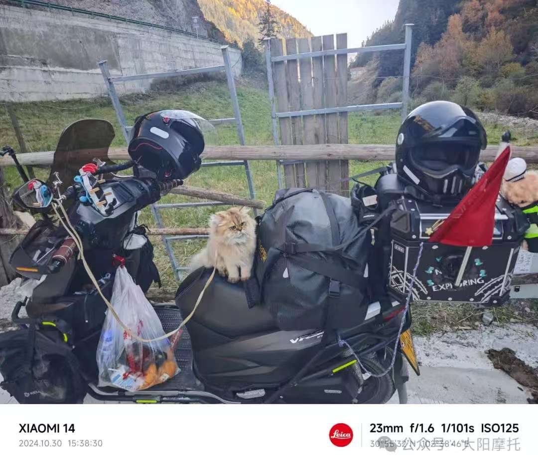 1733798754563096238.jpg 6.jpg